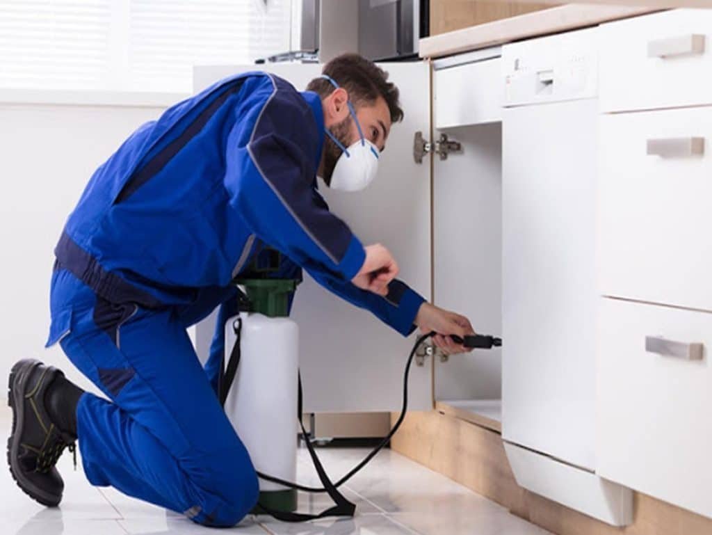 fumigation services lahore